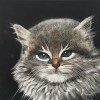 5 quadretti di cani e gatti dipinti ad olio