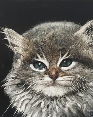 5 quadretti di cani e gatti dipinti ad olio