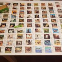 Raccolta figurine Penny 1975 Mammiferi & Rettili