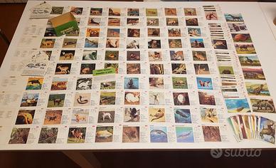 Raccolta figurine Penny 1975 Mammiferi & Rettili