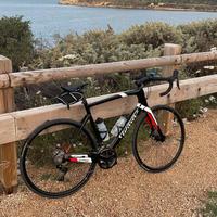 Bici corsa WILIER TRIESTINA GTR