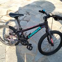 ORBEA mx 20