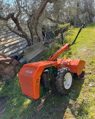 Motocoltivatore Goldoni diesel 