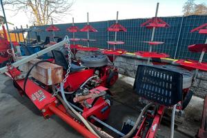 Trapiantatrice Checchi e Magli