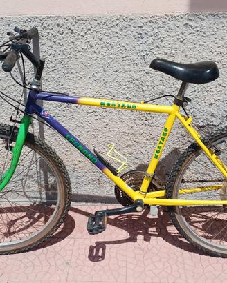 Bicicletta Legnano uomo