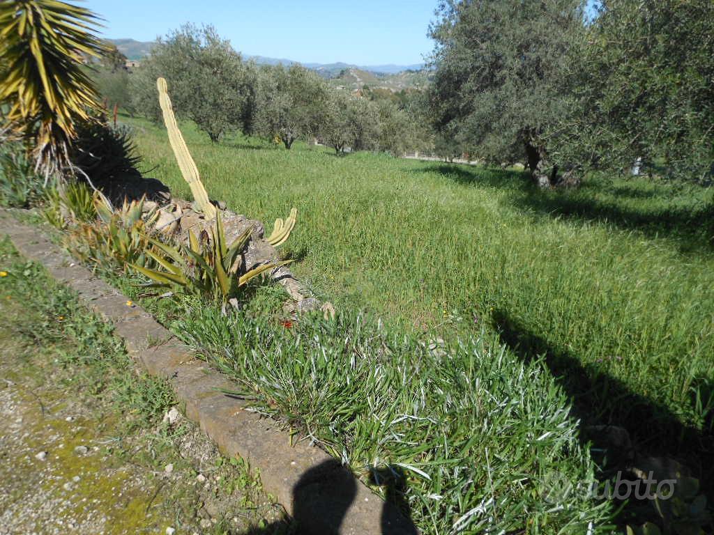 Terreno pianeggiante S. Barbara - Vista 3