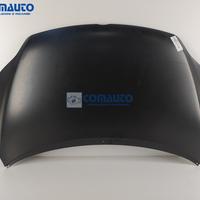 Cofano VOLKSWAGEN GOLF PLUS V (5M1, 521) '04