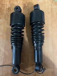 Ammortizzatori Progressive 11 ‘’