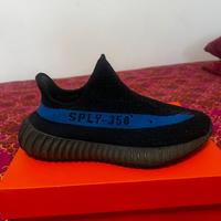 Adidas yeezy boost 350