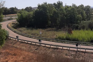 Terreno con Boschetto