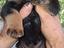 Immagine 2