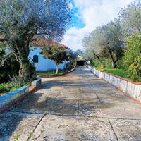 In zona Monte Oro, grande villa