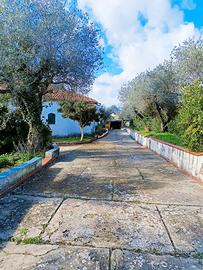 In zona Monte Oro, grande villa