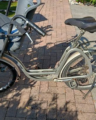 family bike