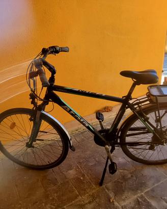 bici pedalata assistita