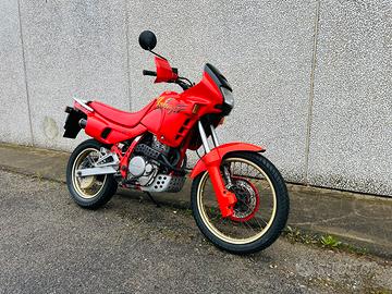 NX 650 Dominator ASI