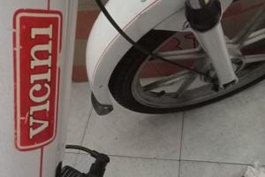 motorino 50