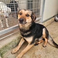 Andrea: 2 anni, timido e dolce