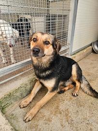 Andrea: 2 anni, timido e dolce