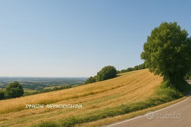 Seminativo a Verucchio