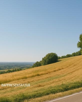 Seminativo a Verucchio
