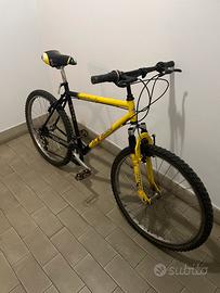 Bella bici 26 diruota, perfetta pronto all’uso.