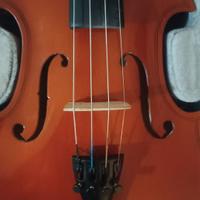 Violino