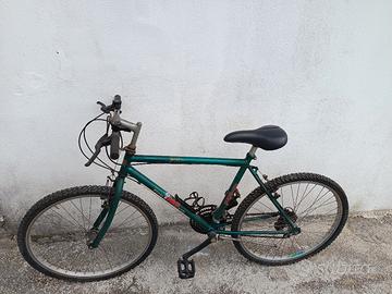 Bicicletta Mountain bike 