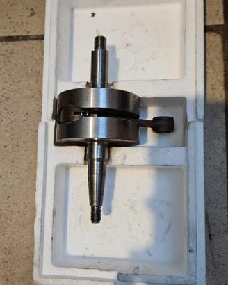 albero corsa 44 top am6