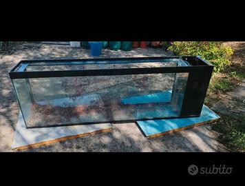 acquario 200 cm