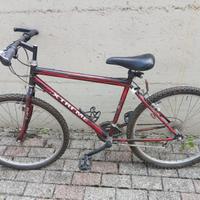 Bicicletta monuntanbike