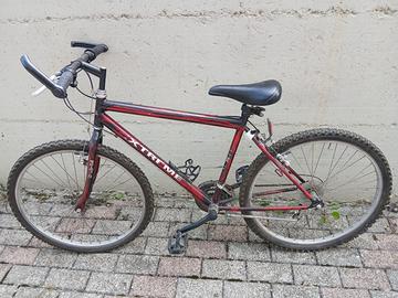 Bicicletta monuntanbike