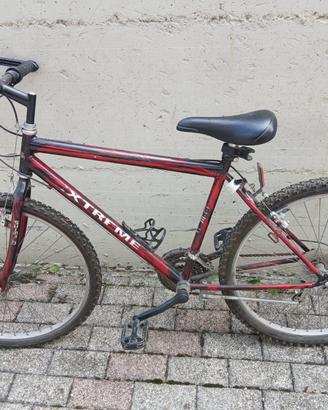Bicicletta monuntanbike
