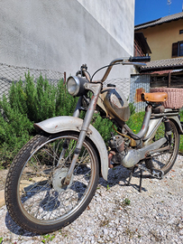 Atala rizzato 50 Moto e Scooter In vendita a Belluno