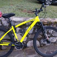 mountain bike taglia 27,5 casadei