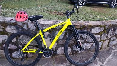 mountain bike taglia 27,5 casadei