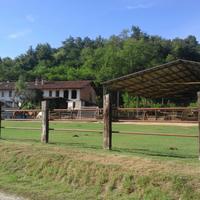 Posto cavallo