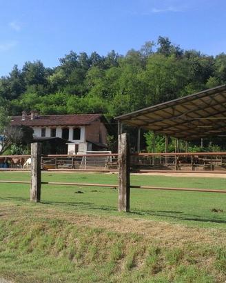 Posto cavallo