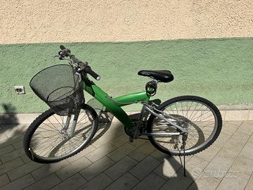 Pininfarina Mountain Bike da Uomo.