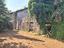 Immagine 7