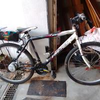 bici modificata elettrica 24 volt