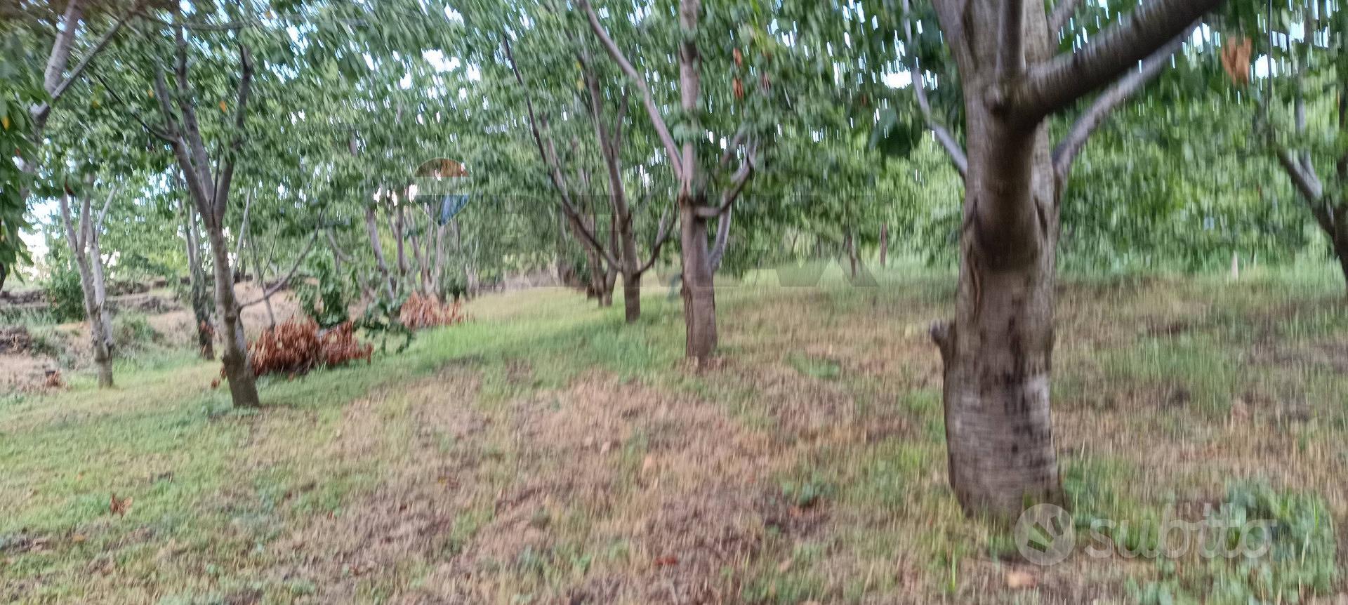 Terreno - Sant'Alfio - Vista 5