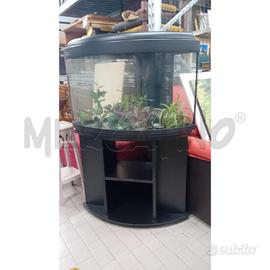 ACQUARIO ANG