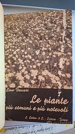 Libro vintage Le piante più comuni e più notevoli