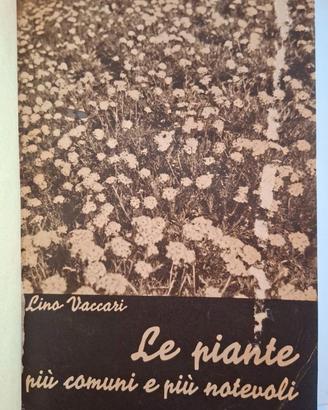 Libro vintage Le piante più comuni e più notevoli