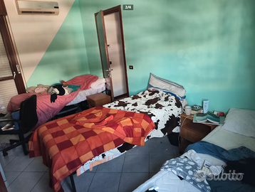 Posto letto Roma Camera Condivisa
