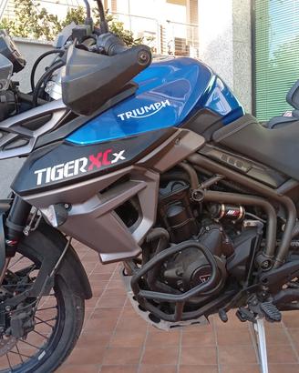 Triumph Tiger 800 XCx