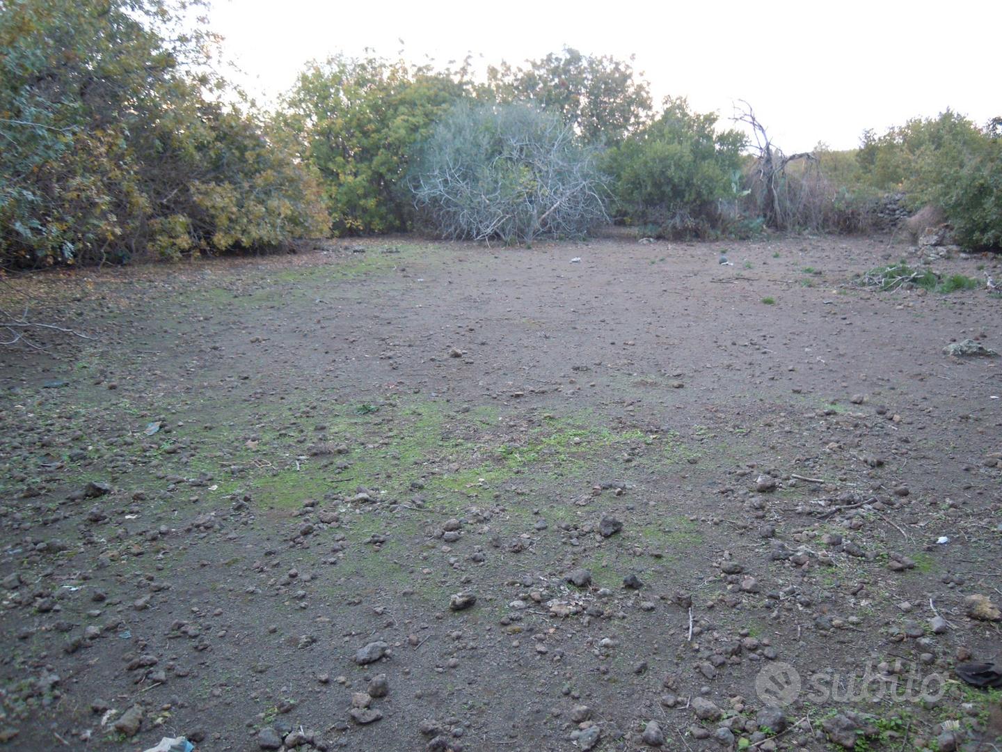 Belpasso Terreno agricolo 7.368 mq con progetto - Altro