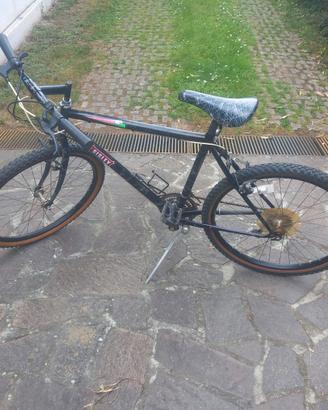 Bici montaìn bike