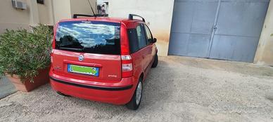 Fiat Panda usata